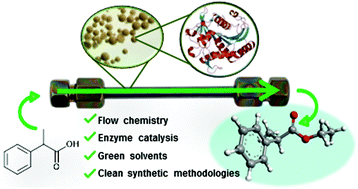 Graphical abstract: Towards sustainable kinetic resolution, a combination of bio-catalysis, flow chemistry and bio-based solvents