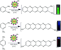 Graphical abstract: Synthesis of carbon-based fluorescent polymers driven by catalytically active magnetic bioconjugates