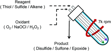 Graphical abstract: Organic oxidations promoted in vortex driven thin films under continuous flow