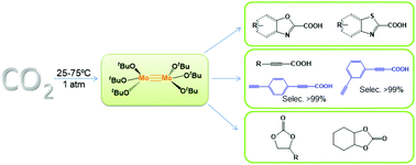 Graphical abstract: Binuclear molybdenum alkoxide as the versatile catalyst for the conversion of carbon dioxide