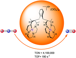 Graphical abstract: The synergistic catalysis effect within a dinuclear nickel complex for efficient and selective electrocatalytic reduction of CO2 to CO