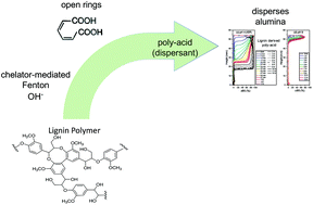 Graphical abstract: Efficient conversion of lignin into a water-soluble polymer by a chelator-mediated Fenton reaction: optimization of H2O2 use and performance as a dispersant