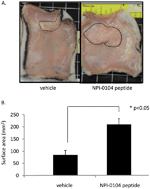 Graphical abstract: Receptor for hyaluronan mediated motility (RHAMM/HMMR) is a novel target for promoting subcutaneous adipogenesis