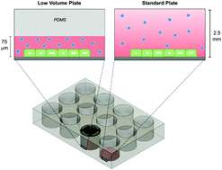 Graphical abstract: Harnessing endogenous signals from hepatocytes using a low volume multi-well plate