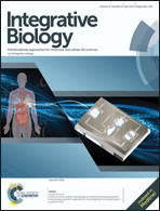 Graphical abstract: Inside front cover