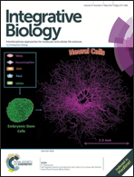 Graphical abstract: Front cover