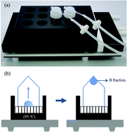 Graphical abstract: Precise and accurate boron and lithium isotopic determinations for small sample-size geological materials by MC-ICP-MS