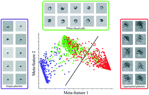 Graphical abstract: Label-free detection of aggregated platelets in blood by machine-learning-aided optofluidic time-stretch microscopy