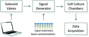 Graphical abstract: Universal signal generator for dynamic cell stimulation