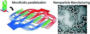 Graphical abstract: Robust manufacturing of lipid-polymer nanoparticles through feedback control of parallelized swirling microvortices