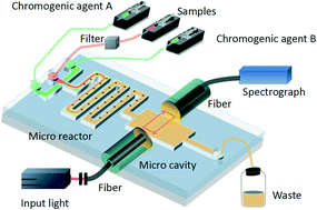 Graphical abstract: Optofluidic marine phosphate detection with enhanced absorption using a Fabry–Pérot resonator