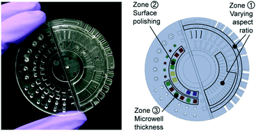 Graphical abstract: Fundamentals of rapid injection molding for microfluidic cell-based assays