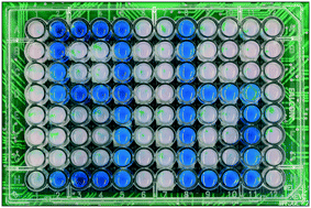 Graphical abstract: Plug-and-actuate on demand: multimodal individual addressability of microarray plates using modular hybrid acoustic wave technology