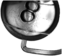 Graphical abstract: Temperature change rate actuated bubble mixing for homogeneous rehydration of dry pre-stored reagents in centrifugal microfluidics