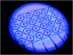 Graphical abstract: Amplification-free detection of DNA in a paper-based microfluidic device using electroosmotically balanced isotachophoresis