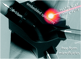 Graphical abstract: 3D nanofabrication inside rapid prototyped microfluidic channels showcased by wet-spinning of single micrometre fibres