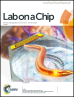 Graphical abstract: Front cover