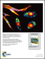 Graphical abstract: Inside back cover