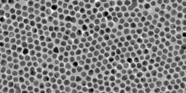 Graphical abstract: Ligand exchange based molecular doping in 2D hybrid molecule-nanoparticle arrays: length determines exchange efficiency and conductance