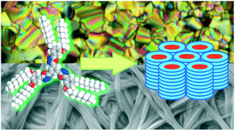Graphical abstract: Star-shaped π-gelators based on oxadiazole and thiadiazoles: a structure–property correlation