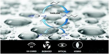 Graphical abstract: Thiol–ene chemistry for polymer coatings and surface modification – building in sustainability and performance