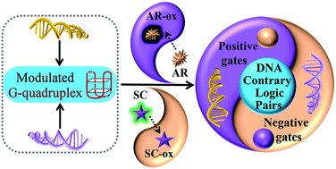 Graphical abstract: An intelligent universal system yields double results with half the effort for engineering a DNA “Contrary Logic Pairs” library and various DNA combinatorial logic circuits