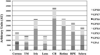 Graphical abstract: Protective effect of selenium supplementation following oxidative stress mediated by glucose on retinal pigment epithelium