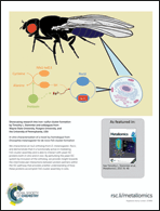 Graphical abstract: Back cover