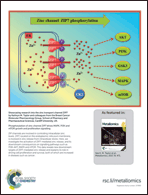 Graphical abstract: Back cover