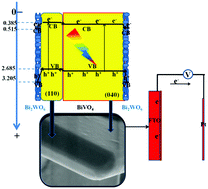 Graphical abstract: Exposed specific (040) and (110) facets of BiVO4 modified with Bi2WO6 nanoparticles for enhanced photocatalytic performance