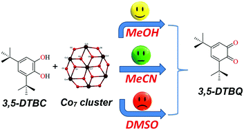 Graphical abstract: A disc-like Co7 cluster with a solvent dependent catecholase activity