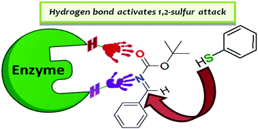 Graphical abstract: Lipase catalyzed 1,2-addition of thiols to imines under mild conditions