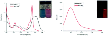 Graphical abstract: A dual channel sulphur-containing a macrocycle functionalised BODIPY probe for the detection of Hg(ii) in a mixed aqueous solution
