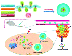 Graphical abstract: Redox- and light-responsive alginate nanoparticles as effective drug carriers for combinational anticancer therapy