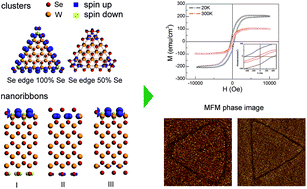 Graphical abstract: Experimental and theoretical evidence for the ferromagnetic edge in WSe2 nanosheets