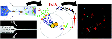 Graphical abstract: Microfluidic self-assembly of folate-targeted monomolecular siRNA-lipid nanoparticles