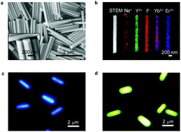Graphical abstract: Spectral and spatial characterization of upconversion luminescent nanocrystals as nanowaveguides