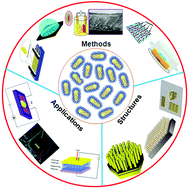 Graphical abstract: Functionalized self-assembly of colloidal CdX (X = S, Se) nanorods on solid substrates for device applications