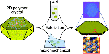 Graphical abstract: Exfoliation of two-dimensional polymer single crystals into thin sheets and investigations of their surface structure by high-resolution atomic force microscopy