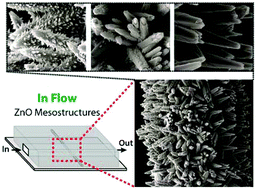 Graphical abstract: Flow-directed synthesis of spatially variant arrays of branched zinc oxide mesostructures