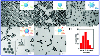 Graphical abstract: A versatile upconversion surface evaluation platform for bio–nano surface selection for the nervous system