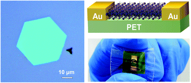Graphical abstract: An ultrafast-temporally-responsive flexible photodetector with high sensitivity based on high-crystallinity organic–inorganic perovskite nanoflake