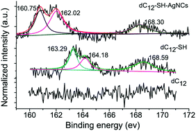 Graphical abstract: Thiolated DNA-templated silver nanoclusters with strong fluorescence emission and a long shelf-life