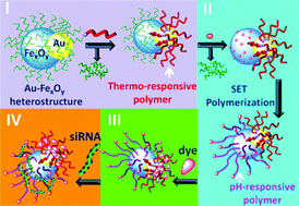 Graphical abstract: Dually responsive gold–iron oxide heterodimers: merging stimuli-responsive surface properties with intrinsic inorganic material features