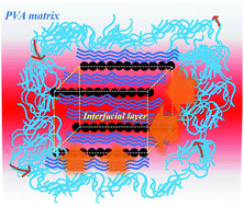 Graphical abstract: The stiffness–thermal conduction relationship at the composite interface: the effect of particle alignment on the long-range confinement of polymer chains monitored by scanning thermal microscopy