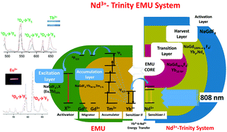 Graphical abstract: 808 nm excited energy migration upconversion nanoparticles driven by a Nd3+–Trinity system with color-tunability and superior luminescence properties