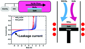 Graphical abstract: Large scale 2D/3D hybrids based on gallium nitride and transition metal dichalcogenides