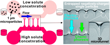 Graphical abstract: Mixed-scale poly(methyl methacrylate) channel network-based single-particle manipulation via diffusiophoresis