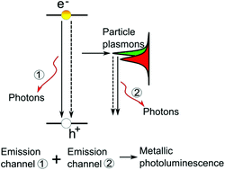 Graphical abstract: Carrier recombination and plasmonic emission channels in metallic photoluminescence