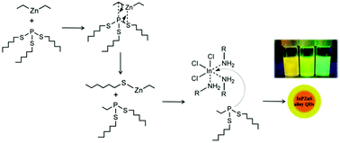 Graphical abstract: InPZnS alloy quantum dots with tris(hexylthio)phosphine as a dual anionic precursor